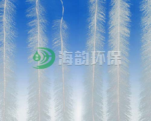 ���w��������